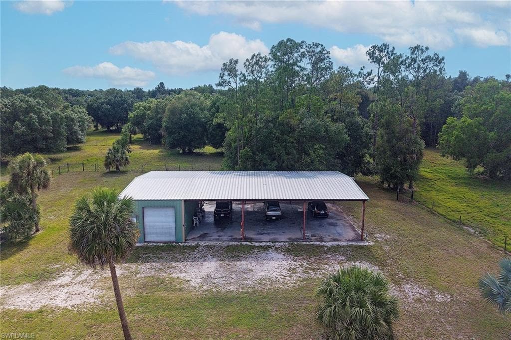 581 Wild Turkey DR-13
