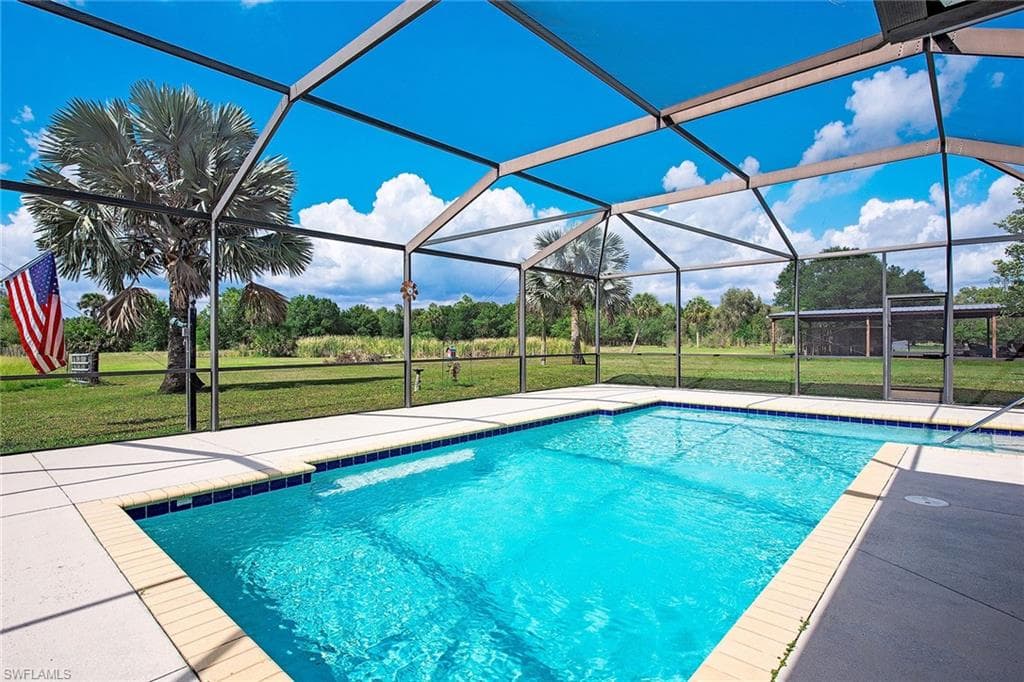581 Wild Turkey DR-3