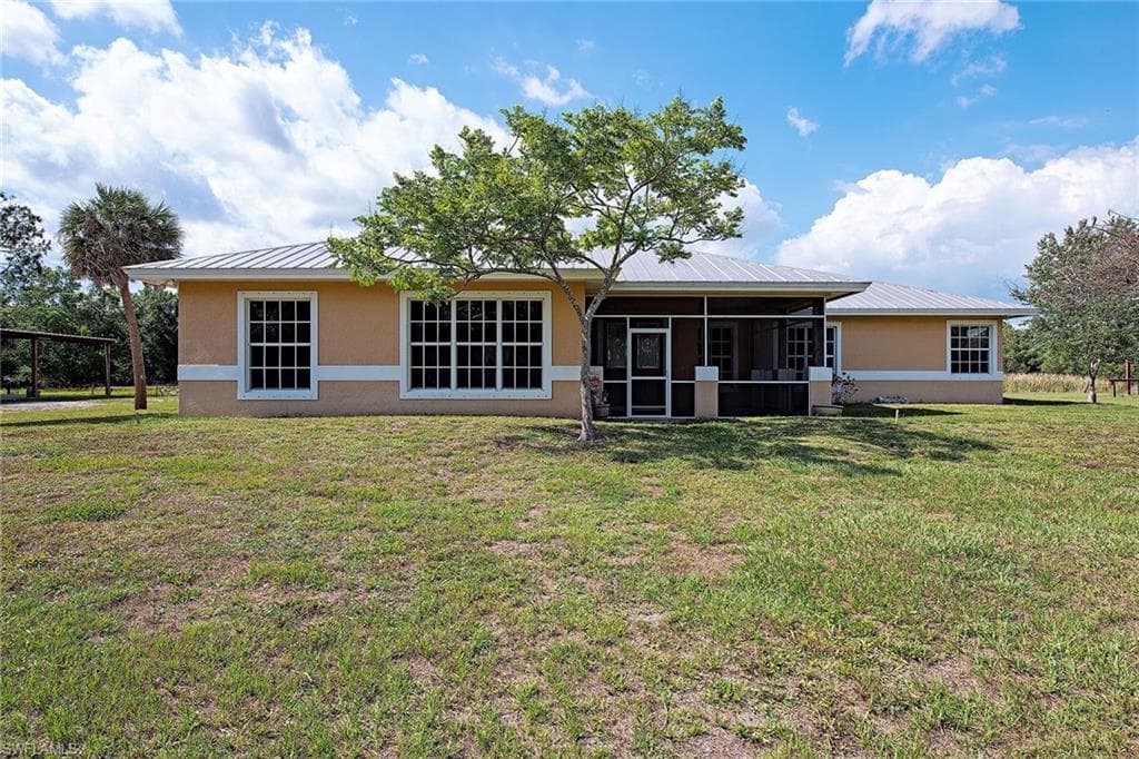 581 Wild Turkey DR-1