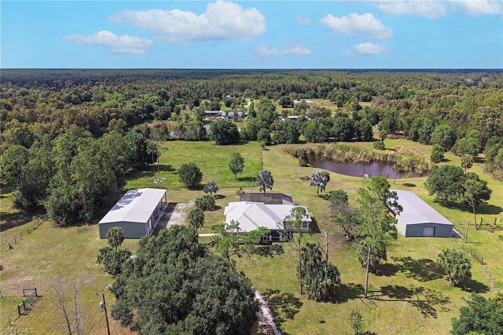 581 Wild Turkey DR-9
