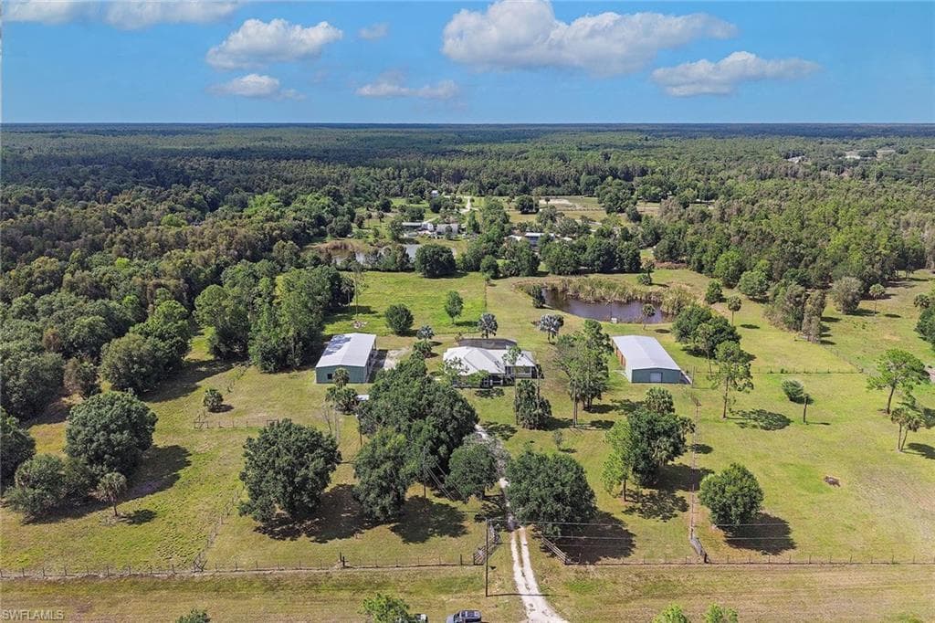 581 Wild Turkey DR-10