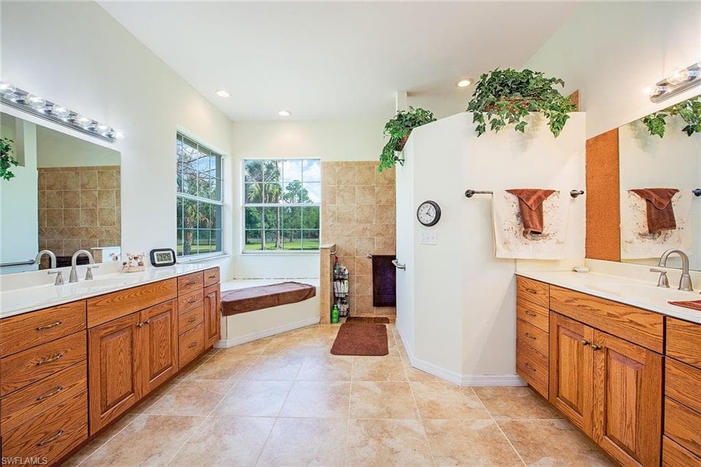 581 Wild Turkey DR-8