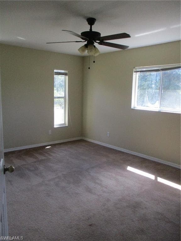 228 Ambury ST-9