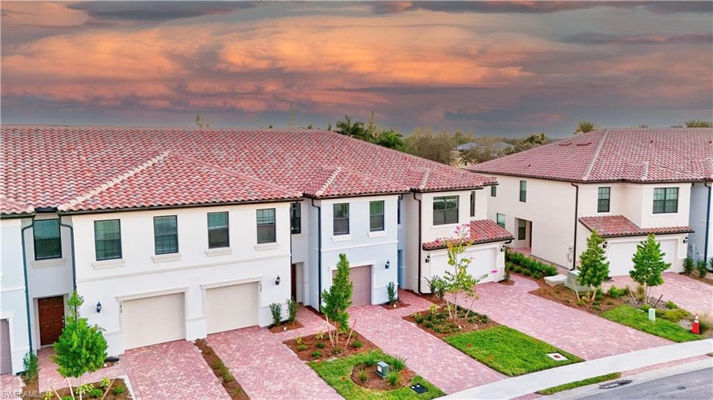 1424 Weeping Willow CT-26