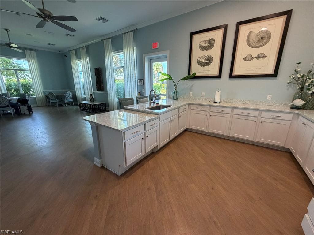 3115 Amadora CIR-24