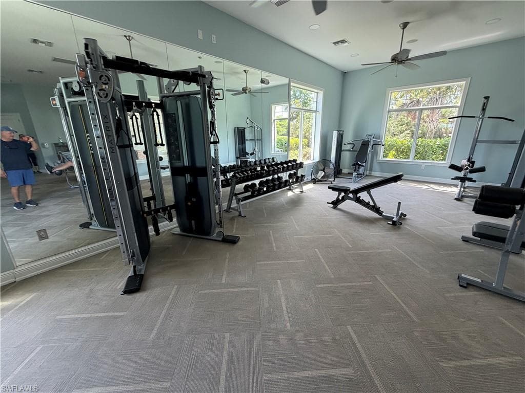 3115 Amadora CIR-30