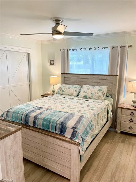 28 Constitution DR-29