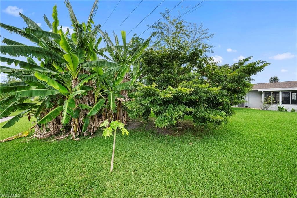 803 Monet ST-33