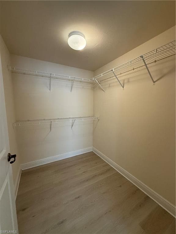 3968 Pomodoro CIR 202-7
