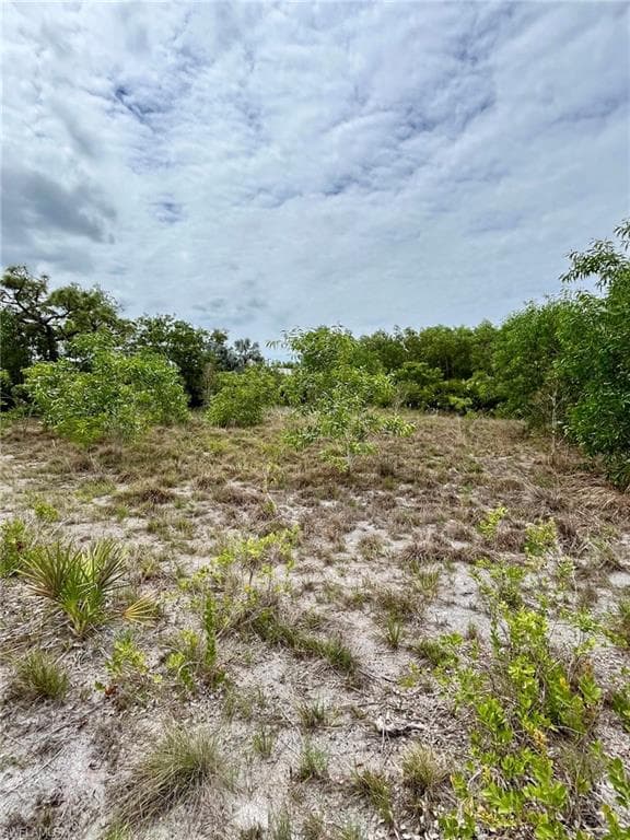 13880 Stonehurst LN-6