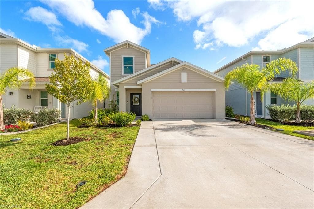 7149 Ponderosa Pine DR-3