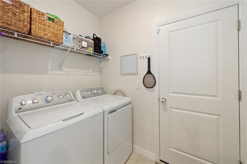 7149 Ponderosa Pine DR-32
