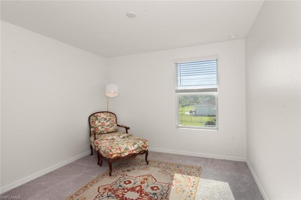 7149 Ponderosa Pine DR-25