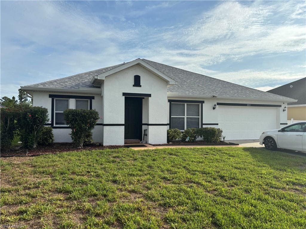 8031 Liriope LOOP-1