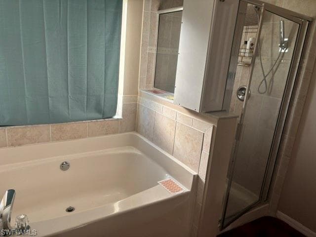 8031 Liriope LOOP-19