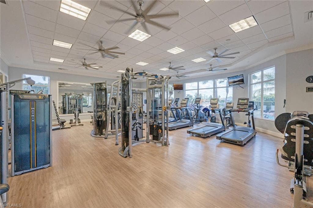 1262 Barrigona CT-43