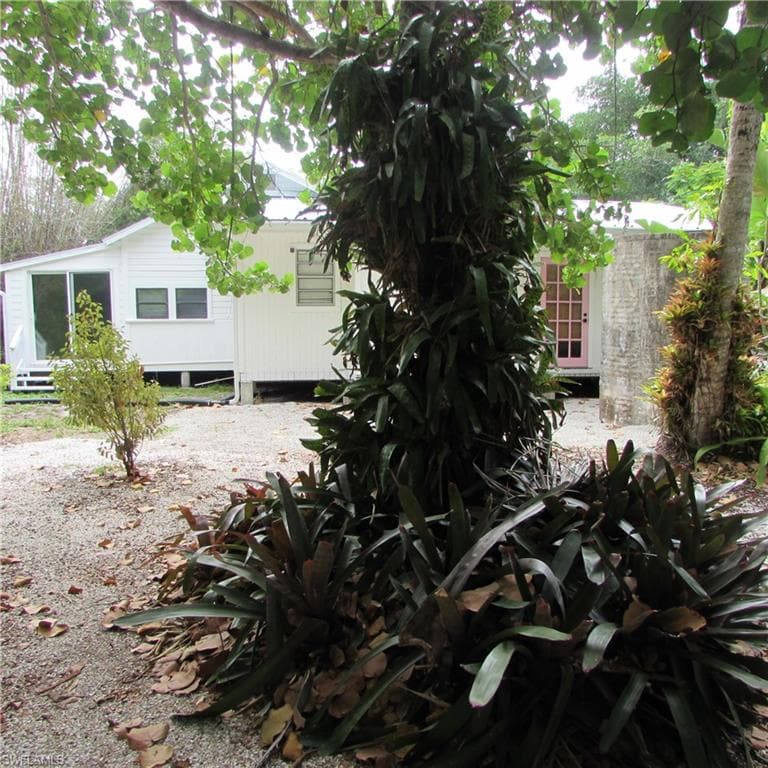 7697 Beach Daisy LN-2