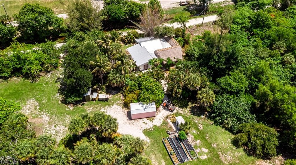 7697 Beach Daisy LN-32