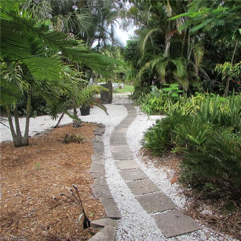 7697 Beach Daisy LN-34