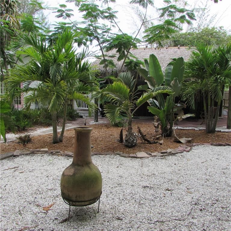 7697 Beach Daisy LN-38