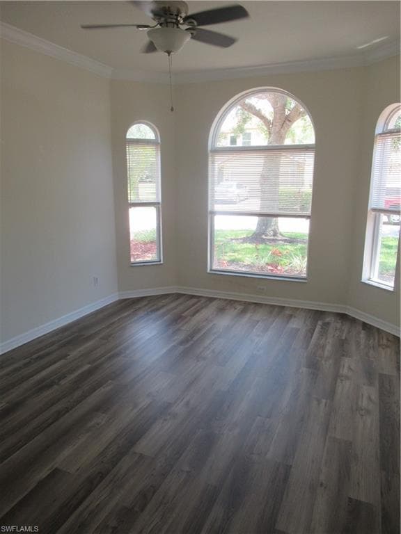 13696 Troia DR-13