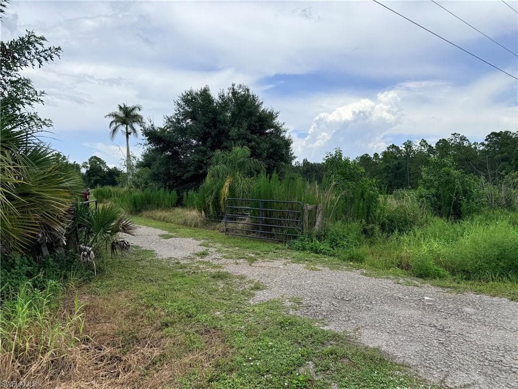 925 Purple Martin DR-23