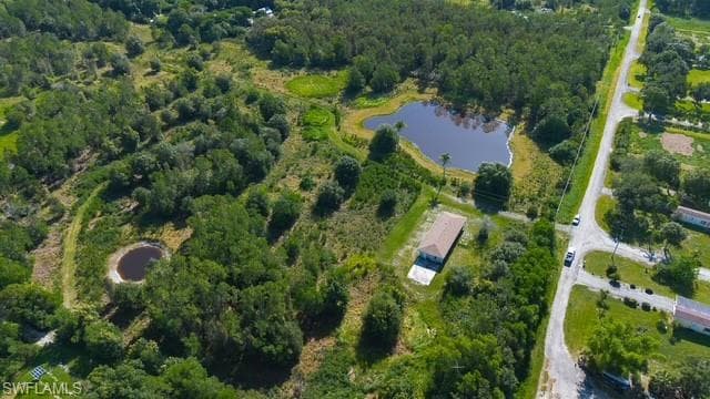 925 Purple Martin DR-2