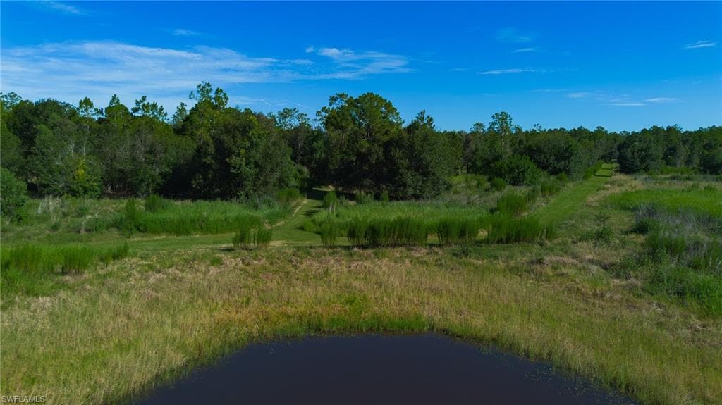 925 Purple Martin DR-42
