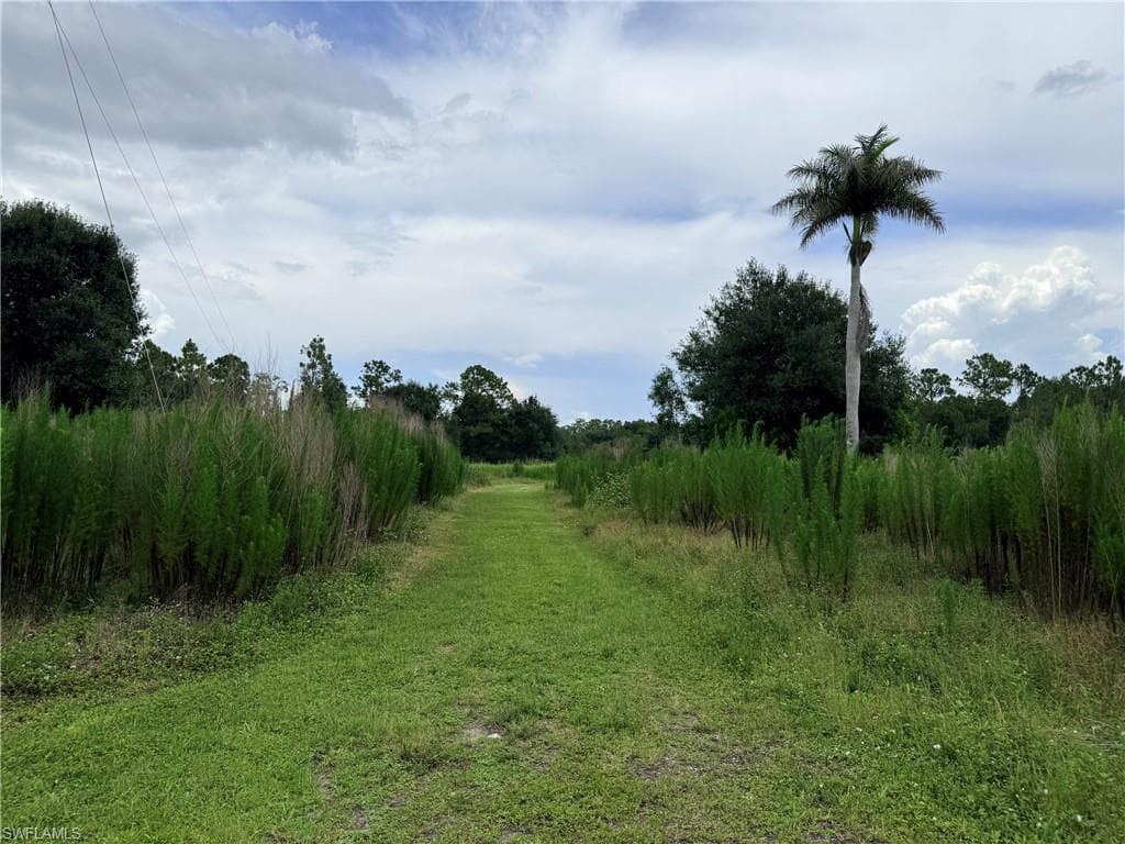 925 Purple Martin DR-22
