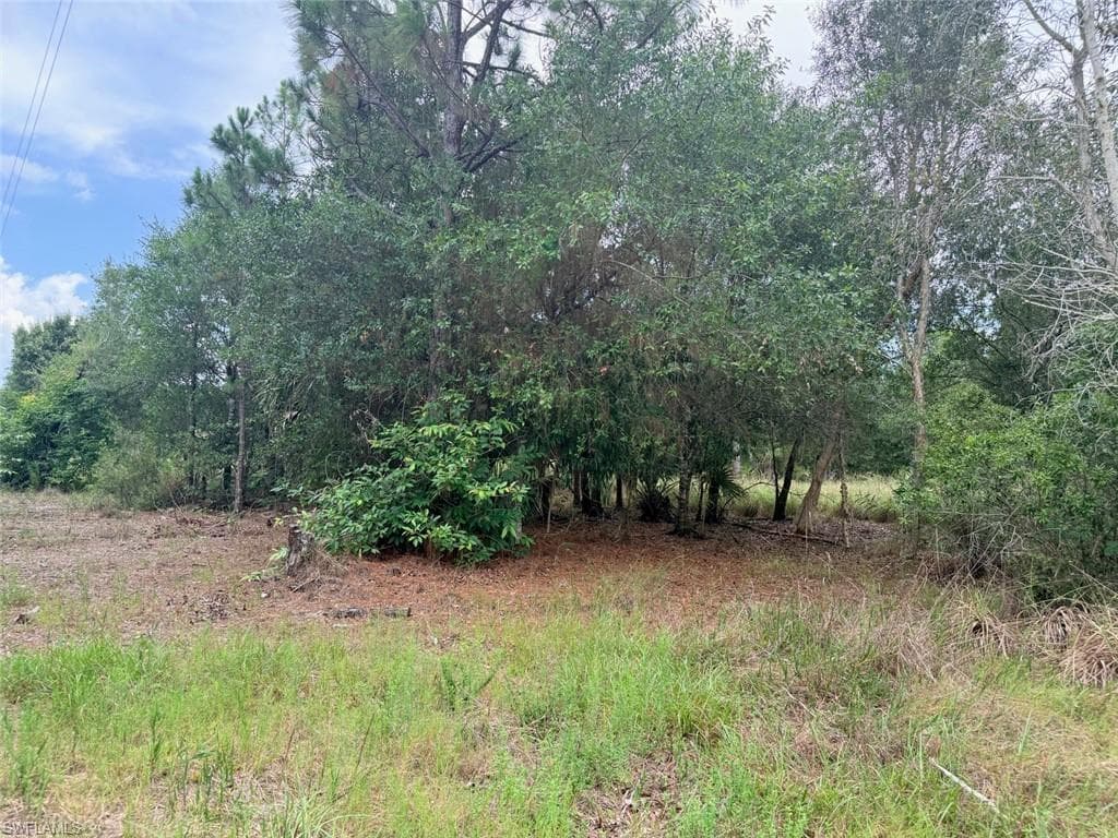 925 Purple Martin DR-36