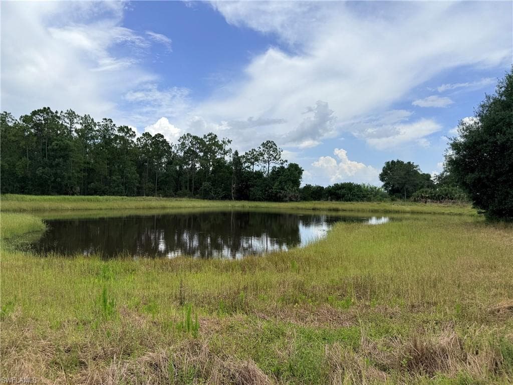 925 Purple Martin DR-38