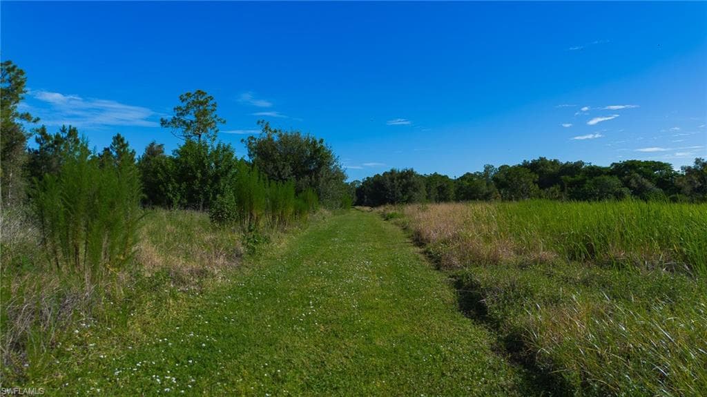 925 Purple Martin DR-10