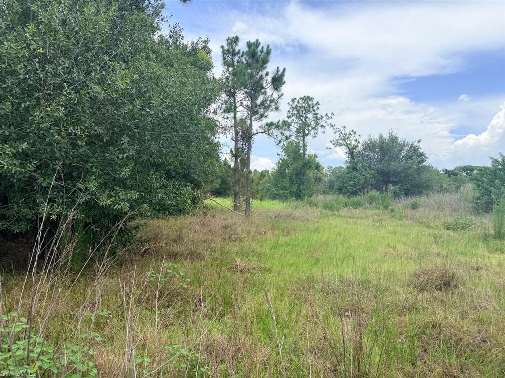 925 Purple Martin DR-35