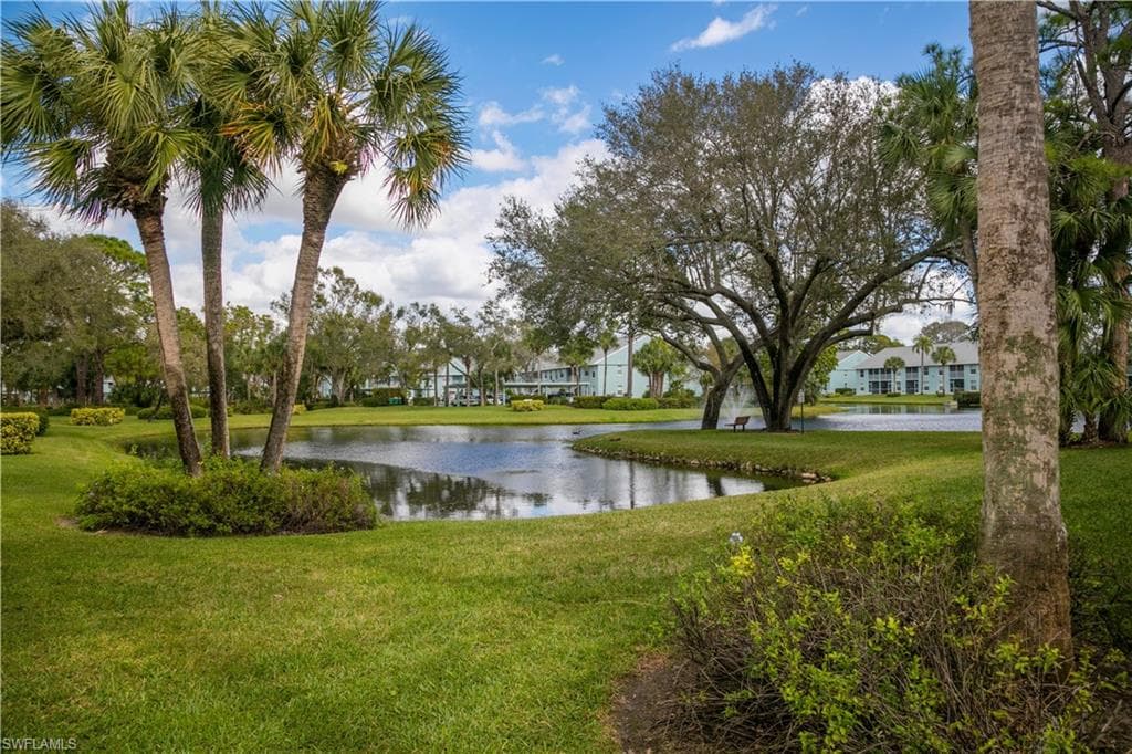 113 Wading Bird CIR W-204-11