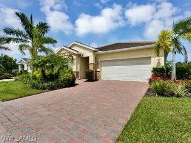 259 Tamarindo LN-2