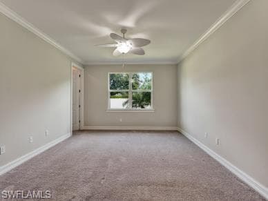 259 Tamarindo LN-13