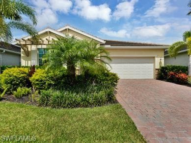 259 Tamarindo LN-3