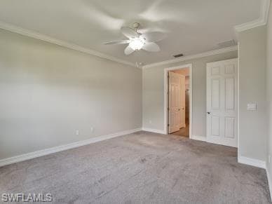259 Tamarindo LN-24
