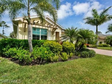 259 Tamarindo LN-4