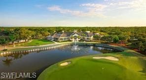 10046 Horse Creek RD-39