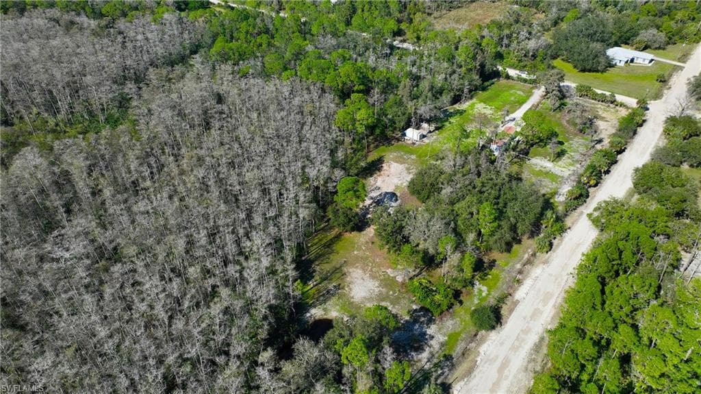 22950 Tinas LN-5