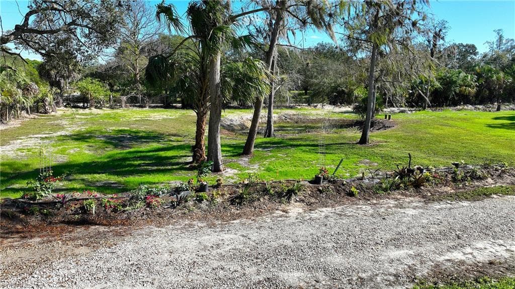 22950 Tinas LN-35