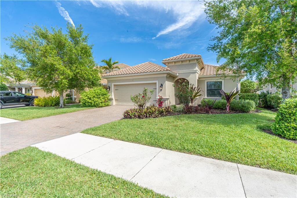 3549 Canopy CIR-2