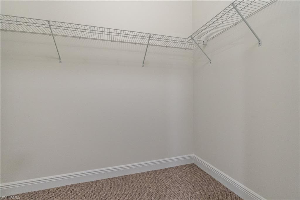 3549 Canopy CIR-32