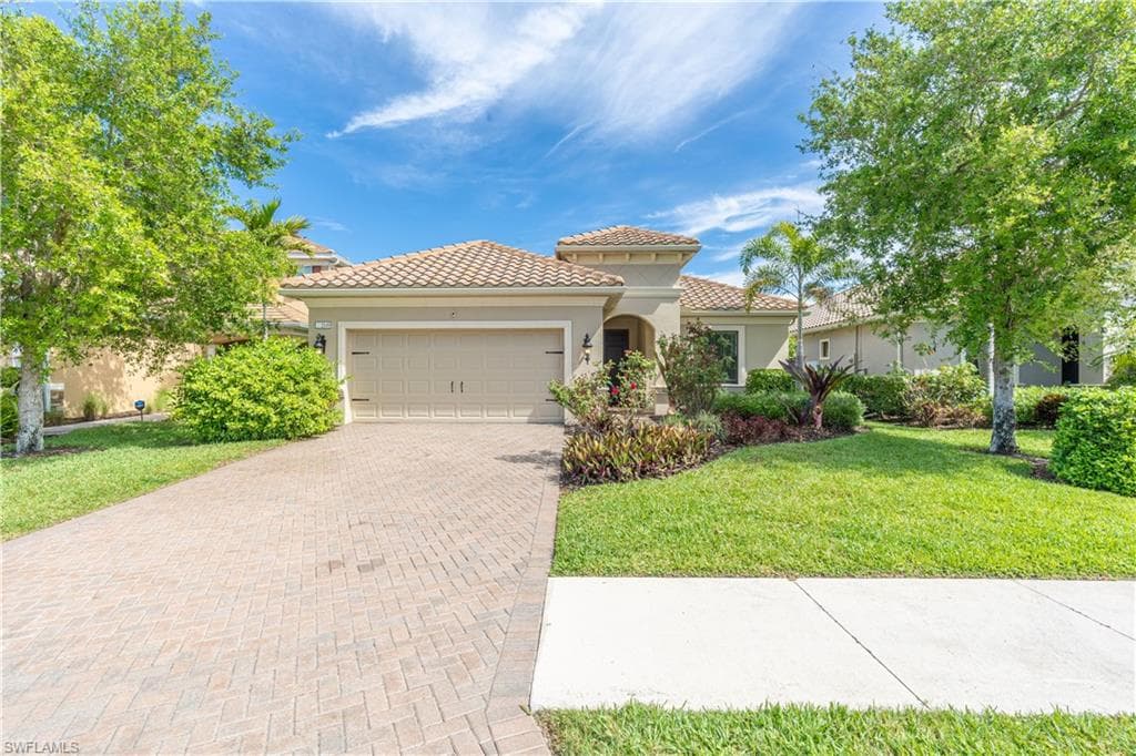 3549 Canopy CIR-5