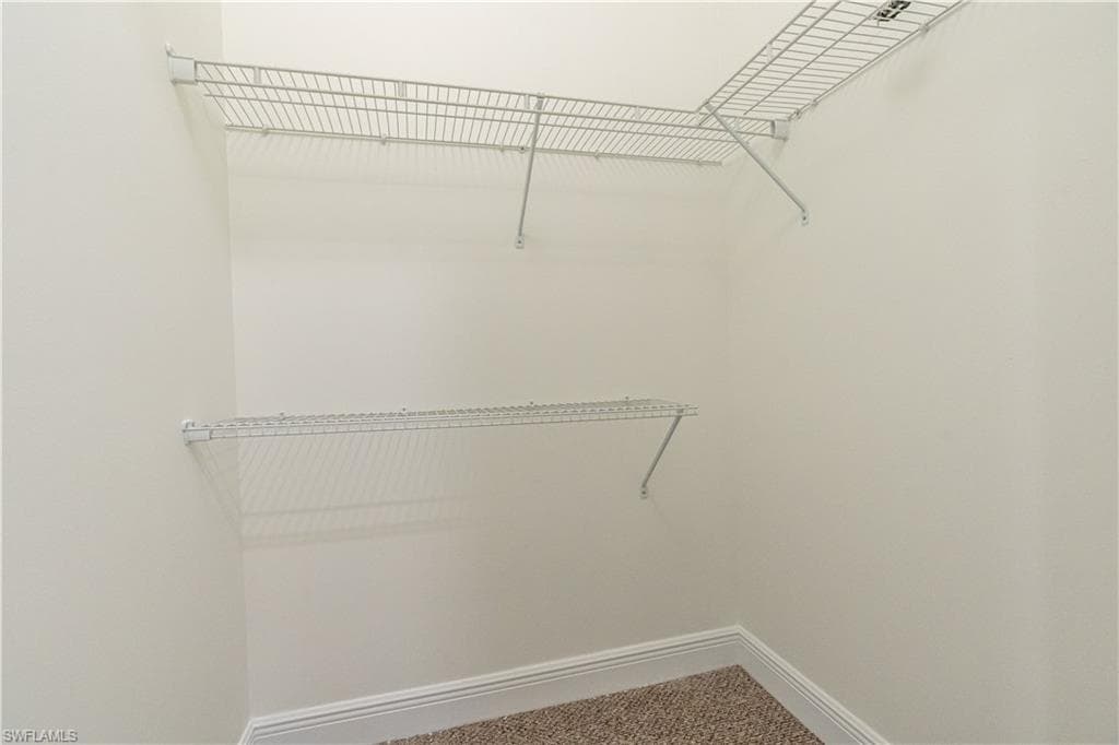 3549 Canopy CIR-33