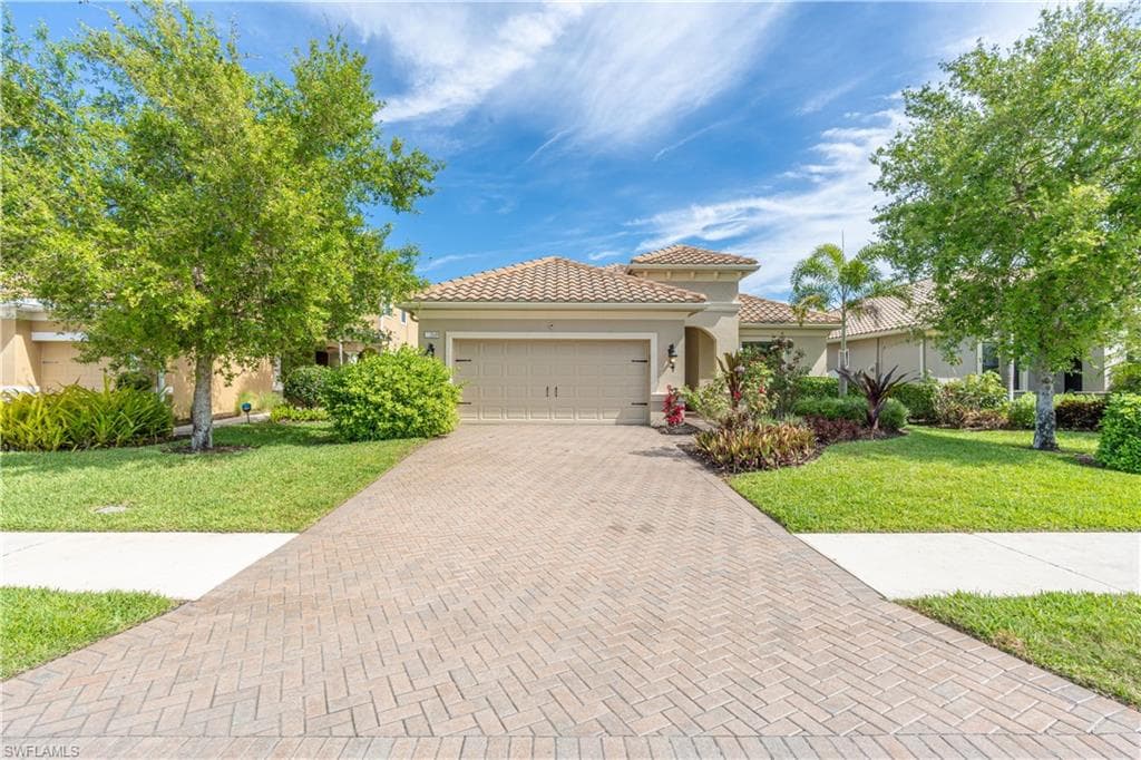 3549 Canopy CIR-4