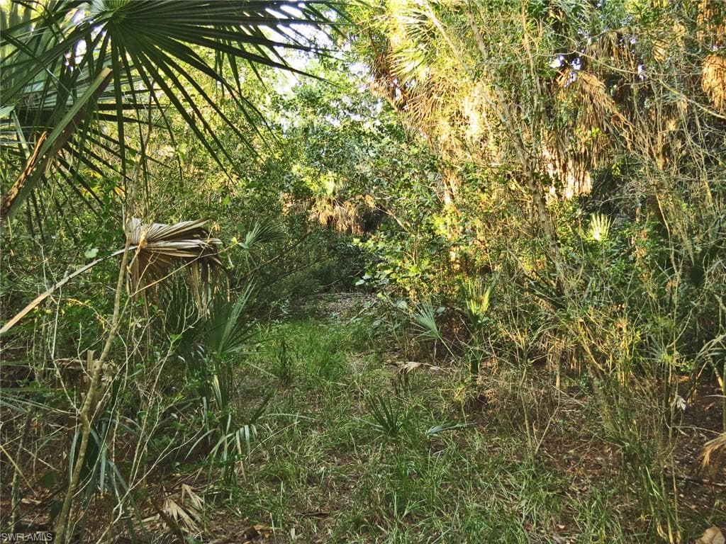 6095 Dinkins Lake RD-4