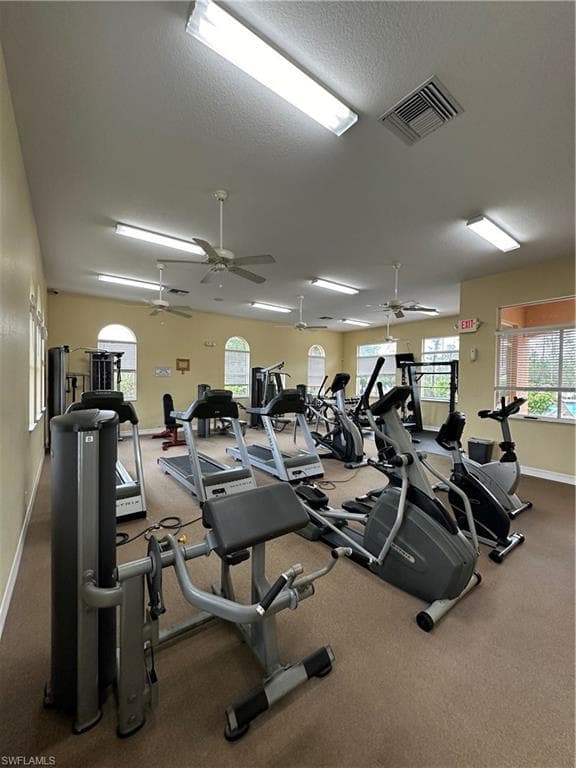 3396 Dandolo CIR-26