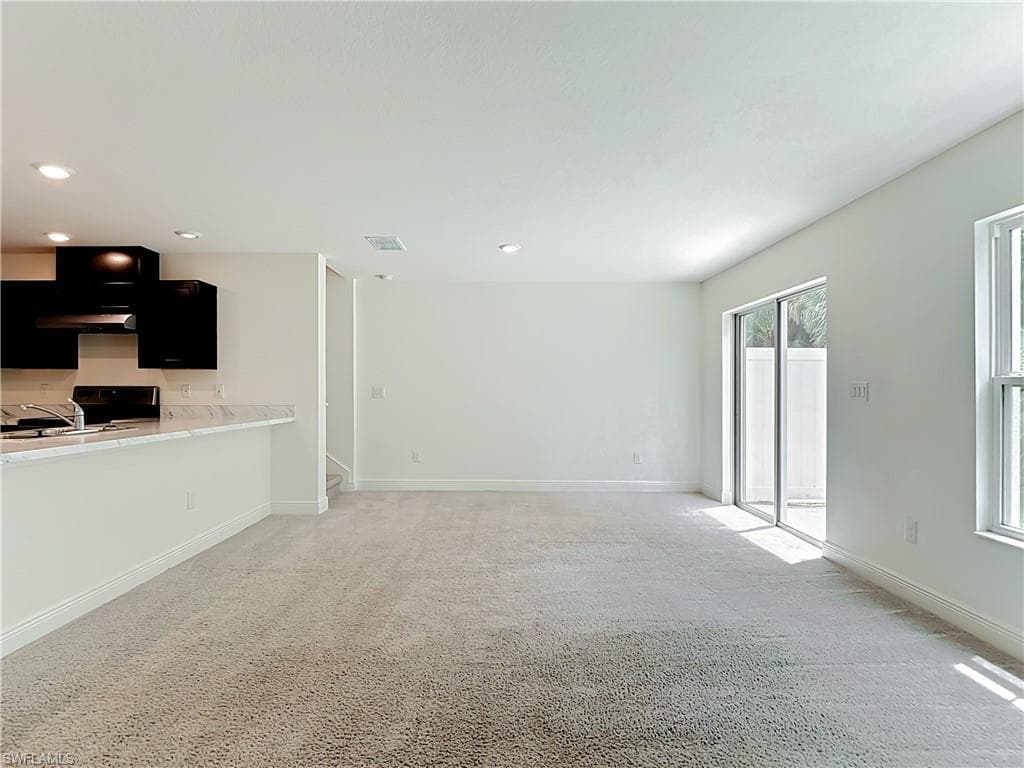 15121 Piping Plover CT 102-7